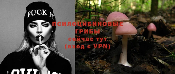 твердый Верея