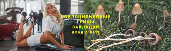 твердый Верея