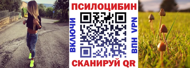 Галлюциногенные грибы MAGIC MUSHROOMS  продажа наркотиков  Киренск 