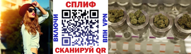 Каннабис сатива Киренск
